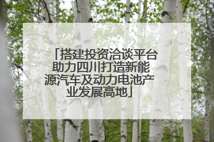 搭建投资洽谈平台 助力四川打造新能源汽车及动力电池产业发展高地