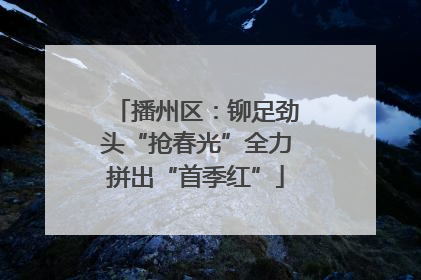 播州区：铆足劲头“抢春光”全力拼出“首季红”