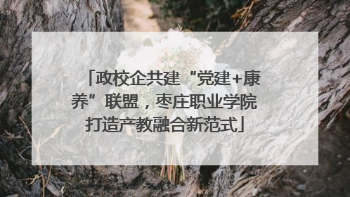 政校企共建“党建+康养”联盟，枣庄职业学院打造产教融合新范式
