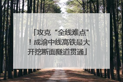 攻克“全线难点”！成渝中线高铁最大开挖断面隧道贯通