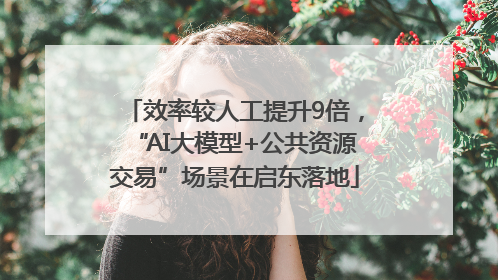 效率较人工提升9倍，“AI大模型+公共资源交易”场景在启东落地