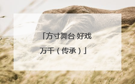 方寸舞台 好戏万千（传承）
