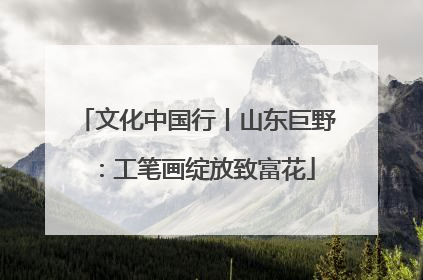 文化中国行丨山东巨野：工笔画绽放致富花