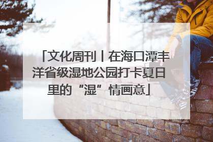 文化周刊丨在海口潭丰洋省级湿地公园打卡夏日里的“湿”情画意