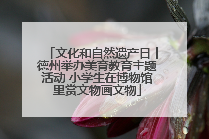 文化和自然遗产日丨德州举办美育教育主题活动 小学生在博物馆里赏文物画文物