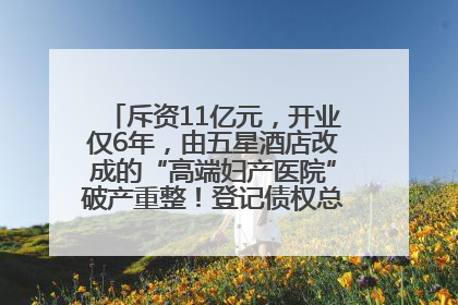 斥资11亿元，开业仅6年，由五星酒店改成的“高端妇产医院”破产重整！登记债权总额已超17亿元