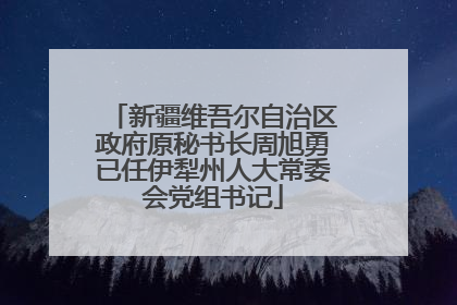 新疆维吾尔自治区政府原秘书长周旭勇已任伊犁州人大常委会党组书记