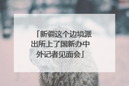 新疆这个边境派出所上了国新办中外记者见面会
