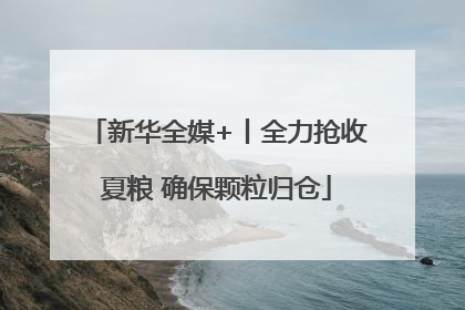 新华全媒+丨全力抢收夏粮 确保颗粒归仓
