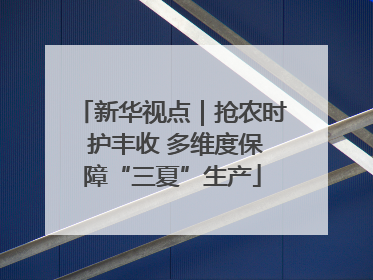 新华视点｜抢农时 护丰收 多维度保障“三夏”生产