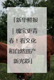 新华鲜报｜瑰宝更青春！看文化和自然遗产新光彩
