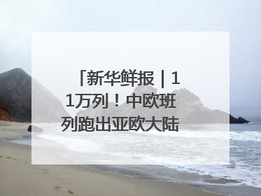 新华鲜报｜11万列！中欧班列跑出亚欧大陆“新时速”