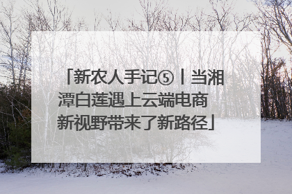 新农人手记⑤丨当湘潭白莲遇上云端电商 新视野带来了新路径