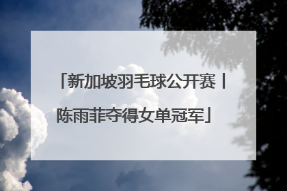 新加坡羽毛球公开赛丨陈雨菲夺得女单冠军