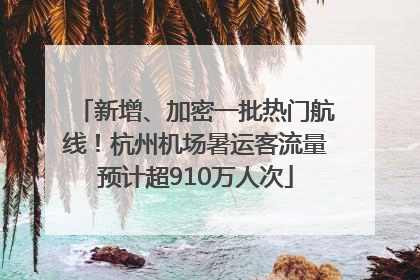 新增、加密一批热门航线！杭州机场暑运客流量预计超910万人次