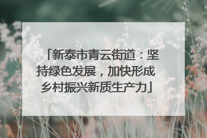 新泰市青云街道：坚持绿色发展，加快形成乡村振兴新质生产力