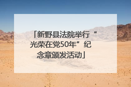 新野县法院举行“光荣在党50年”纪念章颁发活动