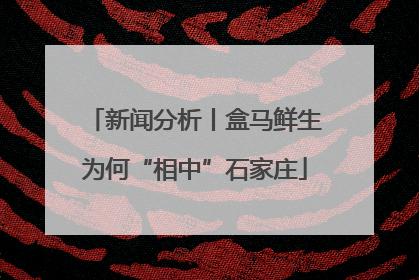 新闻分析丨盒马鲜生为何“相中”石家庄