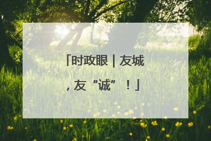时政眼｜友城，友“诚”！