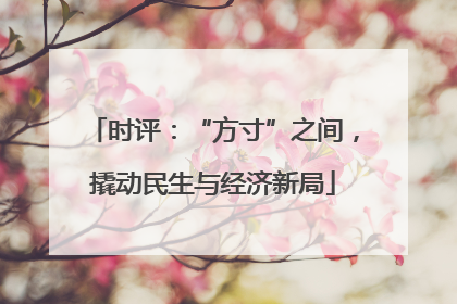 时评：“方寸”之间，撬动民生与经济新局
