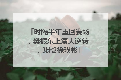 时隔半年重回赛场，樊振东上演大逆转，3比2徐瑛彬