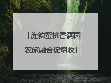 旌德蜜桃香满园 农旅融合促增收