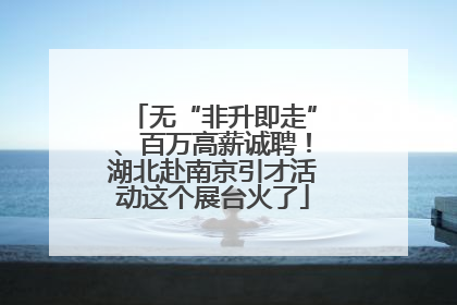 无“非升即走”、百万高薪诚聘！湖北赴南京引才活动这个展台火了