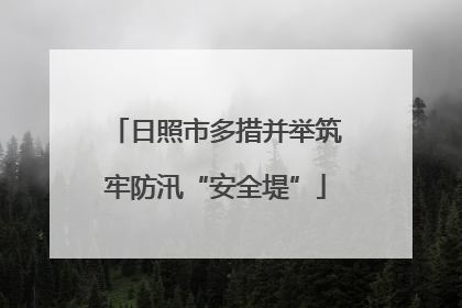 日照市多措并举筑牢防汛“安全堤”