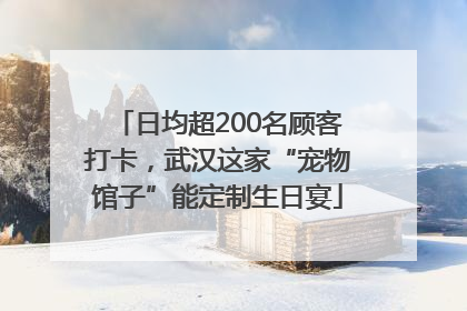 日均超200名顾客打卡，武汉这家“宠物馆子”能定制生日宴