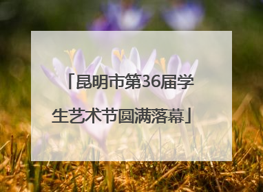 昆明市第36届学生艺术节圆满落幕