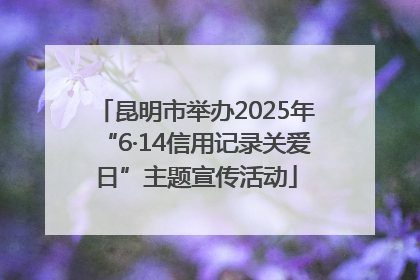昆明市举办2025年“6·14信用记录关爱日”主题宣传活动