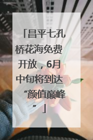 昌平七孔桥花海免费开放，6月中旬将到达“颜值巅峰”
