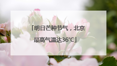 明日芒种节气，北京最高气温达36℃