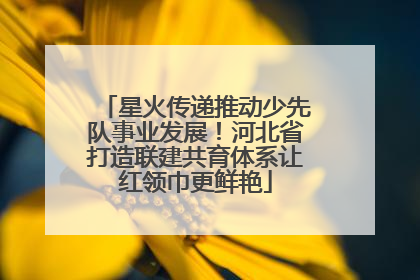 星火传递推动少先队事业发展！河北省打造联建共育体系让红领巾更鲜艳