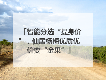 智能分选“提身价”，仙居杨梅优质优价变“金果”