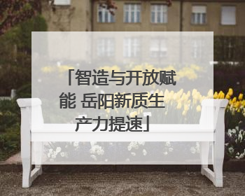 智造与开放赋能 岳阳新质生产力提速