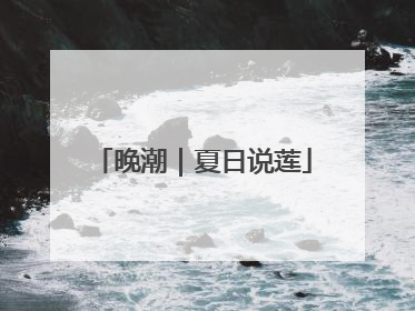 晚潮｜夏日说莲