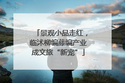 景观小品走红，临沭柳编藤编产业成文旅“新宠”
