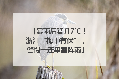 暴雨后猛升7℃！浙江“梅中有伏”，警惕一连串雷阵雨