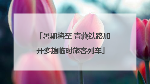 暑期将至 青藏铁路加开多趟临时旅客列车