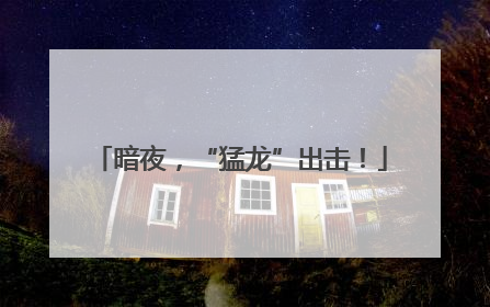暗夜，“猛龙”出击！