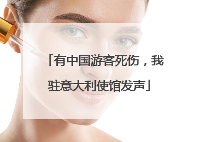 有中国游客死伤，我驻意大利使馆发声
