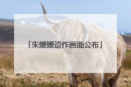朱媛媛遗作画面公布