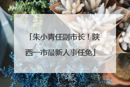 朱小青任副市长！陕西一市最新人事任免