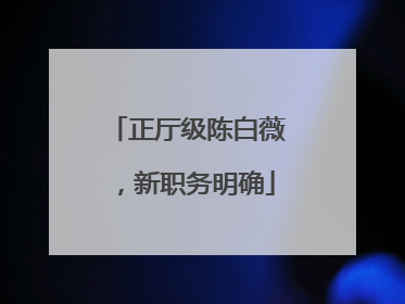 正厅级陈白薇，新职务明确