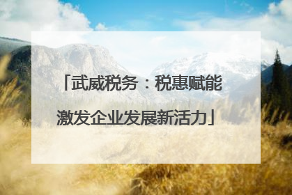 武威税务：税惠赋能 激发企业发展新活力