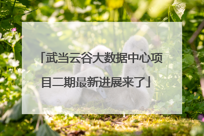 武当云谷大数据中心项目二期最新进展来了