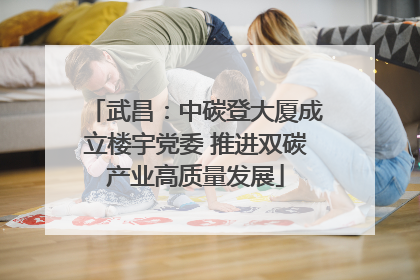 武昌：中碳登大厦成立楼宇党委 推进双碳产业高质量发展