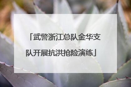 武警浙江总队金华支队开展抗洪抢险演练