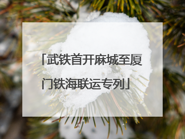武铁首开麻城至厦门铁海联运专列
